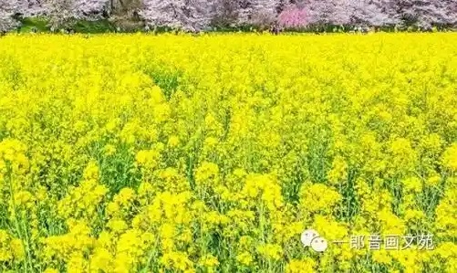 客户评价